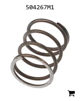 AGCO 504267M1 Пружина