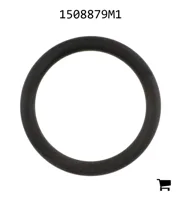 AGCO 1508879M1 Уплотнительное кольцо