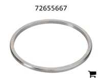AGCO 72655667 Шайба