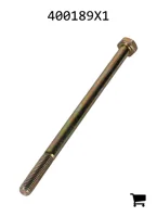 AGCO 400189X1 Винт с шестигранной головкой