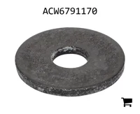 AGCO ACW6791170 Плоская шайба