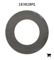 AGCO 183028M1 Шайба