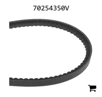 AGCO 70254350V Клиновой ремень, профиль 13AV, длина 56,5"