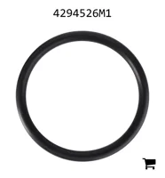 AGCO 4294526M1 Прокладка топливного бака