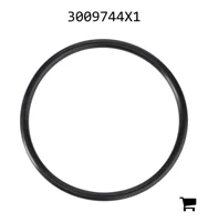 AGCO 3009744X1 Уплотнительное кольцо бортовой передачи