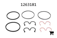 AGCO 1263181 Комплект сальников