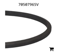 AGCO 70507965V Ремень
