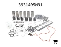AGCO 3931495M91 Комплект для капитального ремонта двигателя