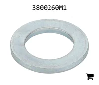 AGCO 3800260M1 Шайба