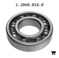 AGCO 2.2060.018.0 Шариковый подшипник