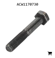 AGCO ACW1170730 Болт шестигранный