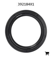 AGCO 392184X1 Радиальное уплотнительное кольцо