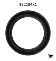 AGCO 392184X1 Радиальное уплотнительное кольцо