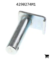 AGCO 4290274M1 Фиксирующий вал