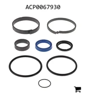 AGCO ACP0067930 Ремкомплект