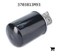 AGCO 3703813M93 Гидравлический фильтр в сборе