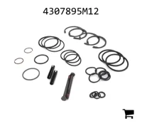 AGCO 4307895M12 Комплект для сервисного обслуживания