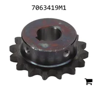 AGCO 7063419M1 Шестерня