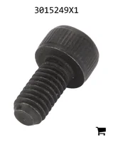 AGCO 3015249X1 Винт с цилиндрической головкой и шестигранным углублением