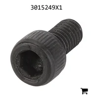 AGCO 3015249X1 Винт с цилиндрической головкой и шестигранным углублением