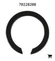 AGCO 70228208 Кольцо