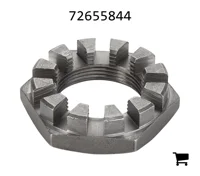 AGCO 72655844 Стопорная гайка