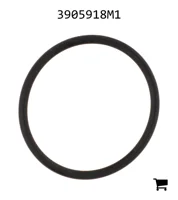 AGCO 3905918M1 Уплотнительное кольцо