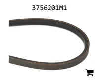AGCO 3756201M1 Ремень