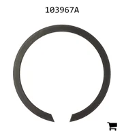 AGCO 103967A Кольцо