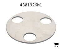 AGCO 4301926M1 Шайба