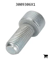 AGCO 3009306X1 Винт с цилиндрической головкой и шестигранным углублением
