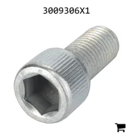AGCO 3009306X1 Винт с цилиндрической головкой и шестигранным углублением