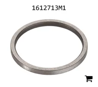 AGCO 1612713M1 Проставочная втулка