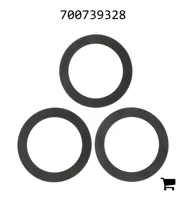 AGCO 700739328 Комплект регулировочных шайб