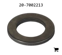 AGCO 20-7002213 Шайба