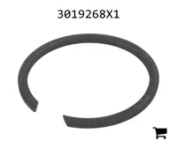 AGCO 3019268X1 Стопорное кольцо