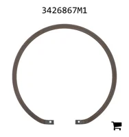 AGCO 3426867M1 Сегмент