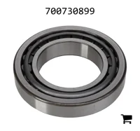 AGCO 700730899 Комплект подшипников