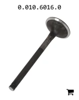 AGCO 0.010.6016.0 Клапан