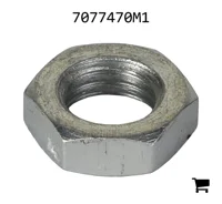 AGCO 7077470M1 Гайка