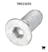 AGCO 70923695 Винт