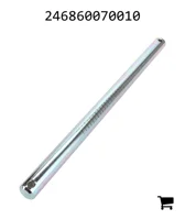 AGCO 246860070010 Болт