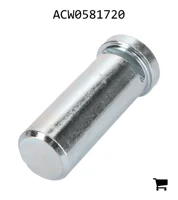 AGCO ACW0581720 Палец