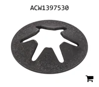 AGCO ACW1397530 Шайба