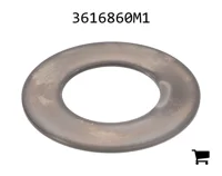 AGCO 3616860M1 Фрикционная шайба