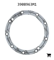 AGCO 3908963M1 Прокладка