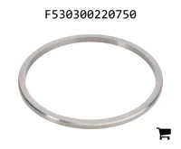 AGCO F530300220750 Шайба