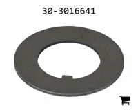 AGCO 30-3016641 Шайба