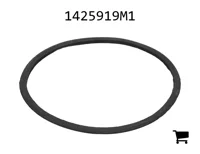 AGCO 1425919M1 Прокладка