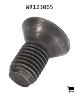 AGCO WR123065 Винт